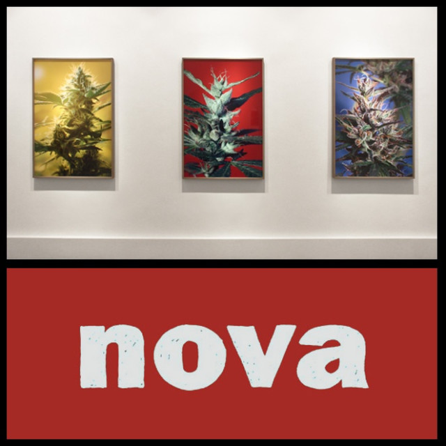 NOVA
