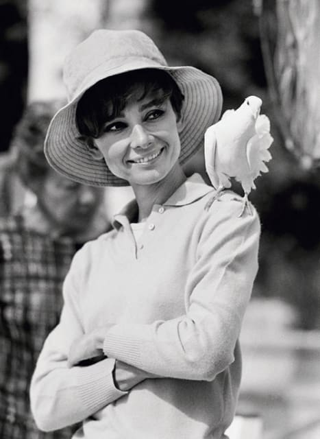 Terry O'Neill, Audrey Hepburn With Dove (view 2), 1966