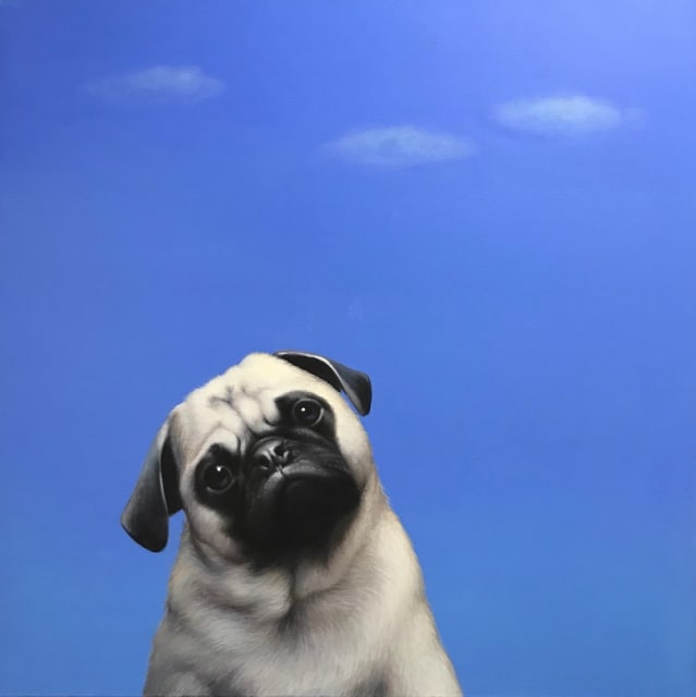 Sale, Lilia Mazurkevic - Pug