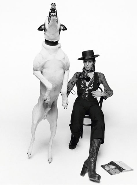 Terry O'Neill, David Bowie for Diamond Dog, 1974