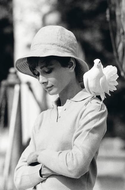 Terry O'Neill, Audrey Hepburn With Dove, 1966
