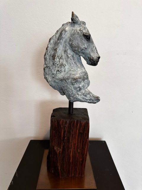 Helena Lillywhite, Equus I, 2024