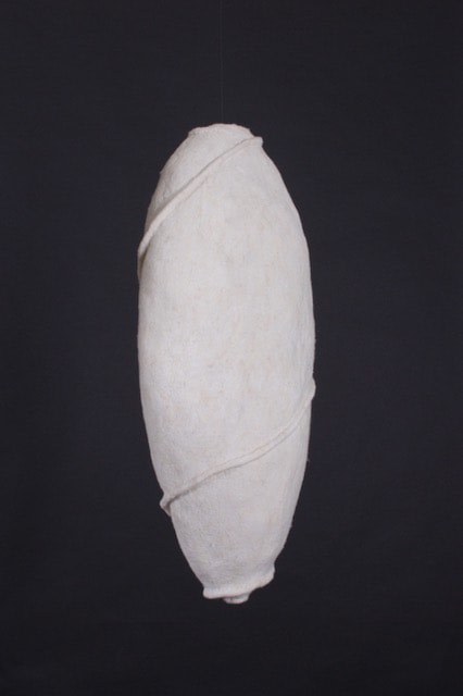 Denise Lithgow, Cocoon 5/22 No.3, 2022
