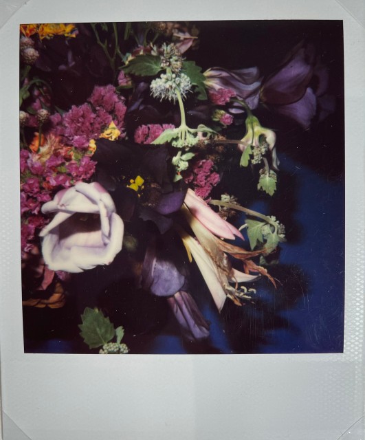 Nobuyoshi Araki, polaroid
