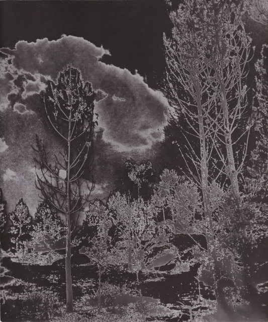 Marcel Bovis, Solarised Landscape (1), C.1930