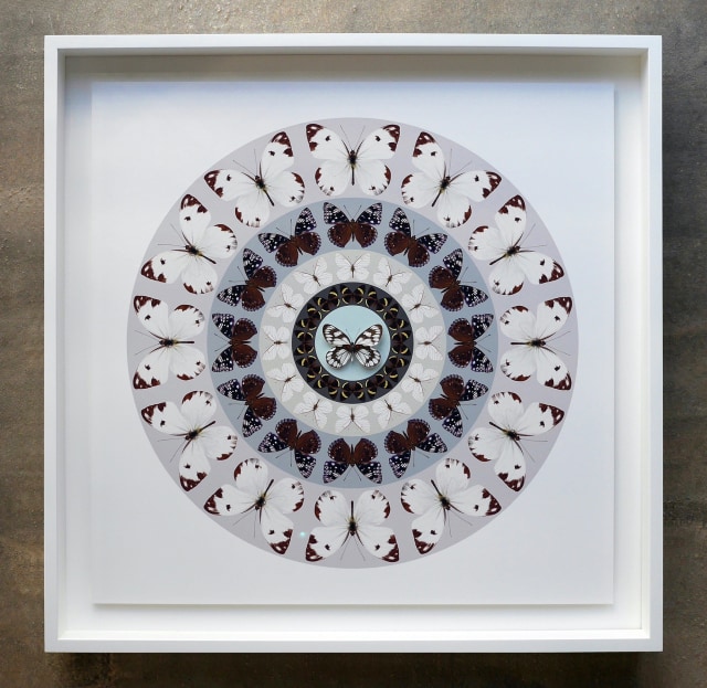 Iain Cadby, Target Mandala (Pale Lilac) , 2020