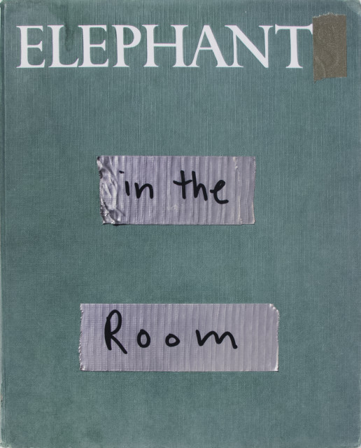 Paul Butler, Elephant in the Room, 2020