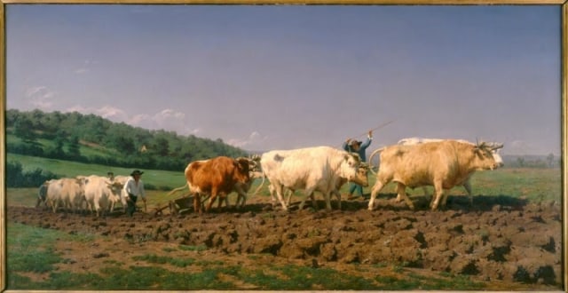 Rosa Bonheur (1822-99), Labourage nivernais, 1849, oil on canvas, 133 x 260 cm, Musée d'Orsay, Paris