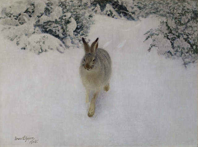 Bruno Liljefors (1860-1939), Hare in winter, 1905, oil on canvas, 86 x 115 cm, Thiel Gallery Stockholm