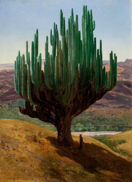 José María Velasco (1840-1912), Cardón, State of Oaxaca, 1887, oil on canvas, Museo Nacional de Arte, Mexico City