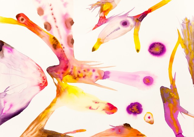 Isabella Nazzarri, Innesti #66, 2016, 50x70cm, watercolor on paper