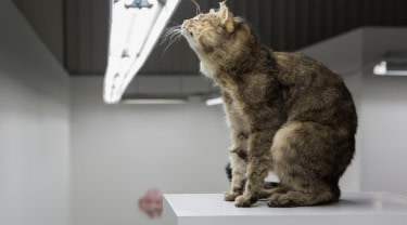 MICHAEL SAILSTORFER / Surrealism shrouds German artist Michael Sailstorfer’s new show in Dubai