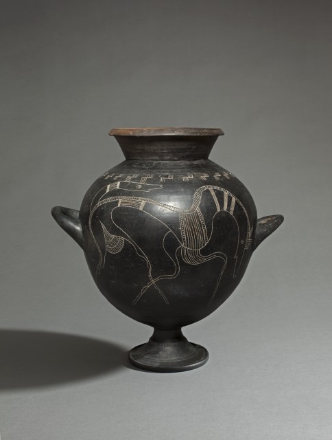 Faliscan Olla with incised horses on either side