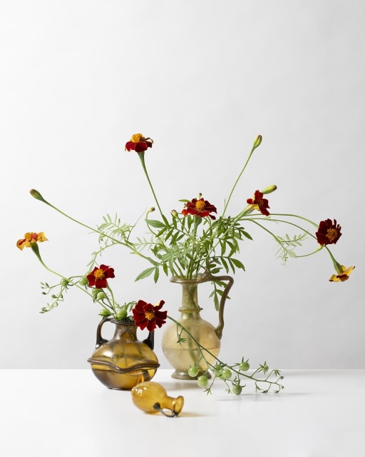 Ancient Roman Glass, Charles Ede x Shane Connolly