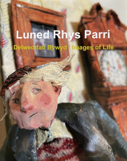 Luned Rhys Parri, Delweddau Bywyd / Images of Life
