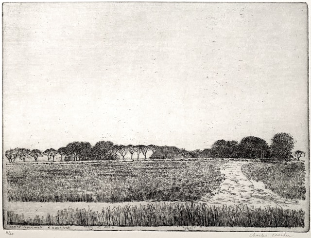 Charles Donker, Groningen vanaf de Hooiweg (Groningue depuis la route des foins), 2022