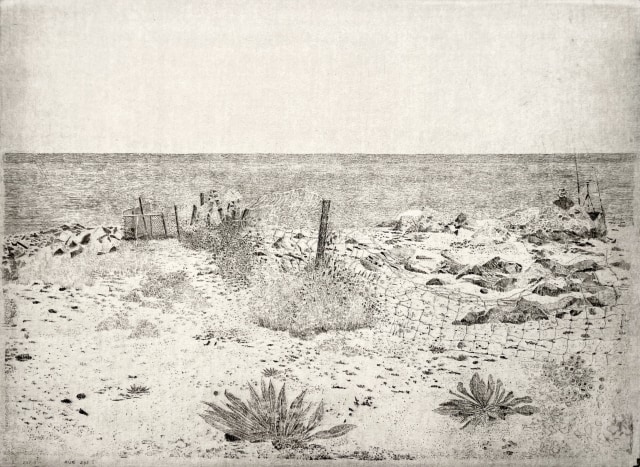 Charles Donker, Eemsdelta II, 2025