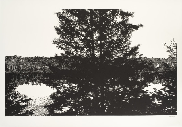 Ariane Fruit, Transe canadienne - VII, 2020