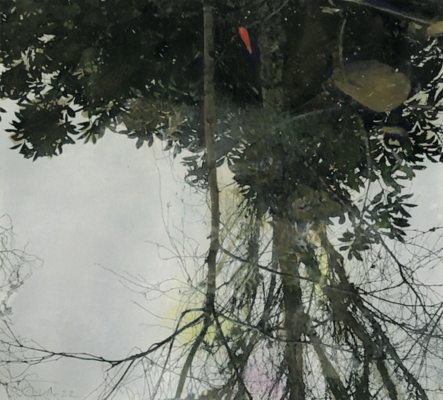 FARHAD OSTOVANI, REFLET DANS L'EAU