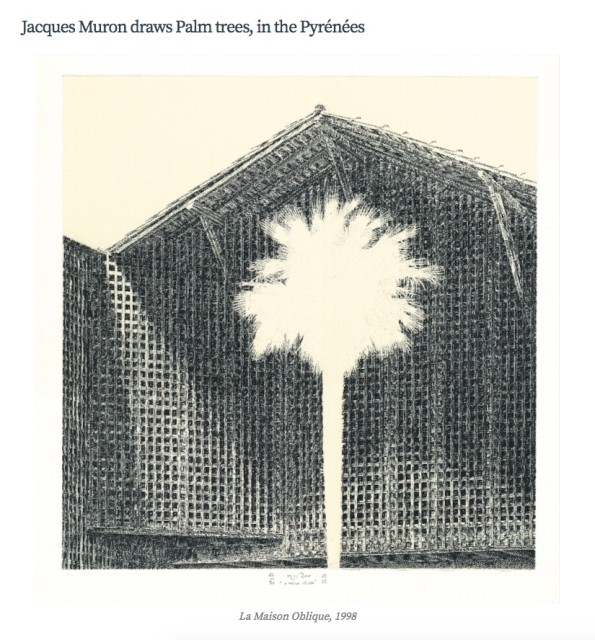 Jacques Muron draws Palm trees, in the Pyrénées