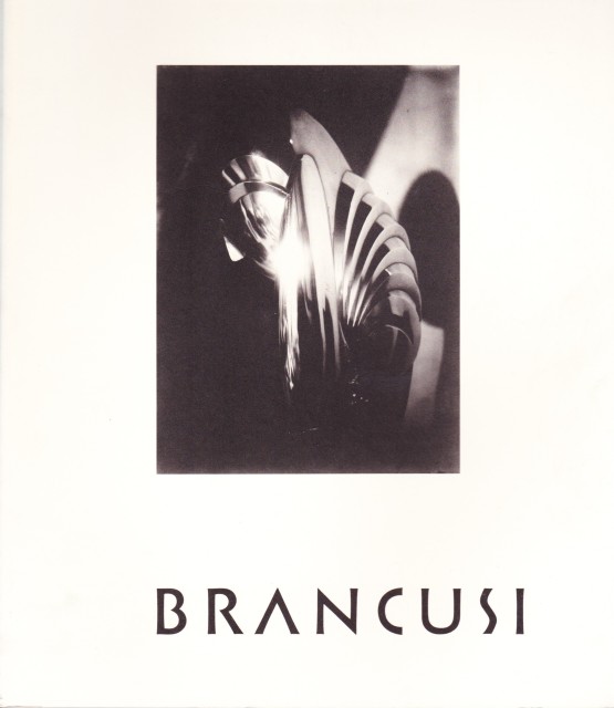 Brancusi The Sculptor as Photographer
