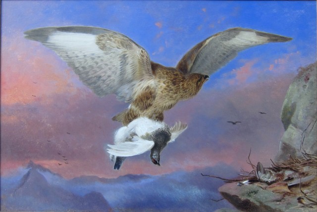 Richard Ansdell R.A., Buzzard and Ptarmigan