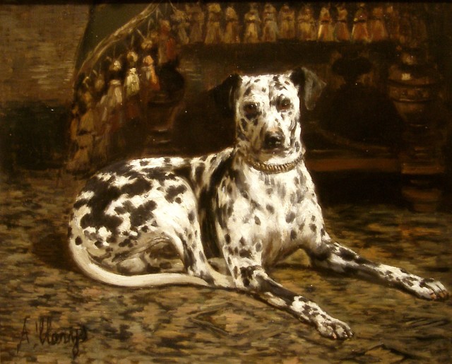 Antoni Clarys, Portrait of a dalmation