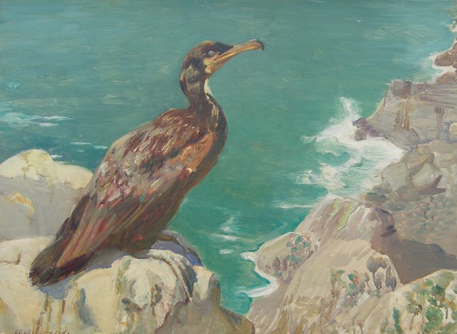 Charles Walter Simpson, Green Cormorant