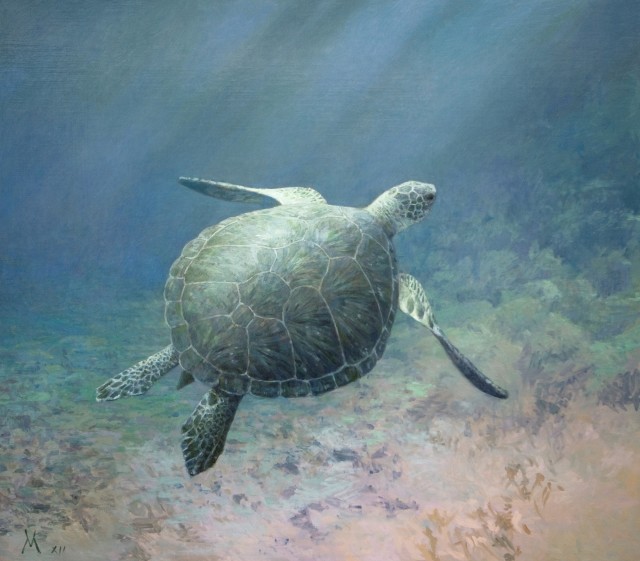 Guillermo Muñoz Vera, Tortuga Verde, 2012
