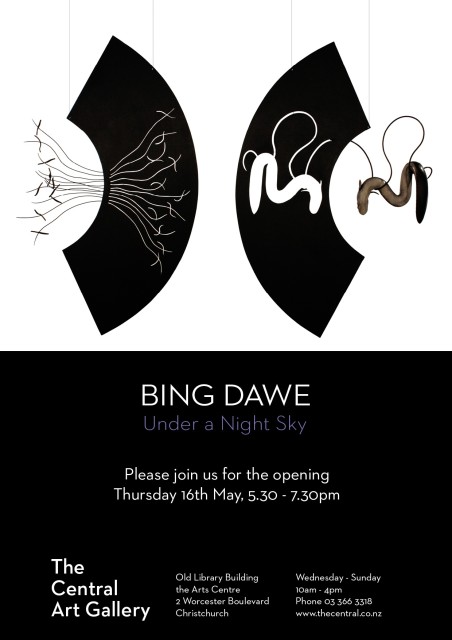 Exhibition Opening: Under a Night Sky by Bing Dawe