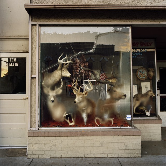 Phil Bergerson Martinsville, Indiana [deer heads inside foggy window], 2006 Signed, dated and editioned, in ink, au verso Printed in 2009 image on 16 x 20 inch (40.64 x 50.80 cm) Chromogenic paper 15 1/2 x 15 1/2 in 39.37 x 39.37 cm Edition of 10