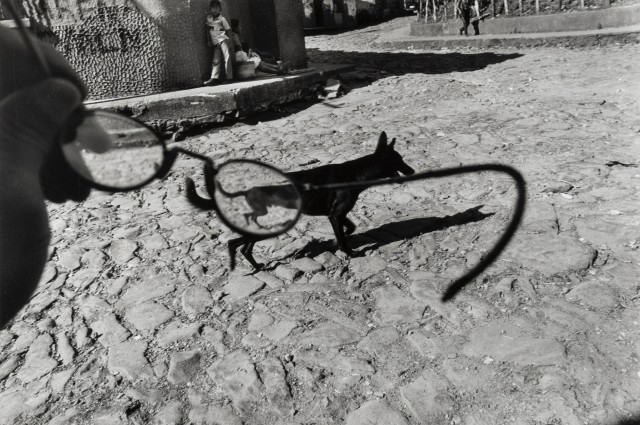 Larry Towell b. 1953 Perquín, Morazán, El Salvador [dog/glasses], 1991 Signed, titled, and dated, in pencil, au verso Printed in 2009 Gelatin silver print 11 x 14 in 27.94 x 35.56 cm