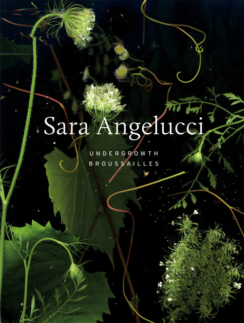 Sara Angelucci | Undergrowth / Brousailles, Book Signing