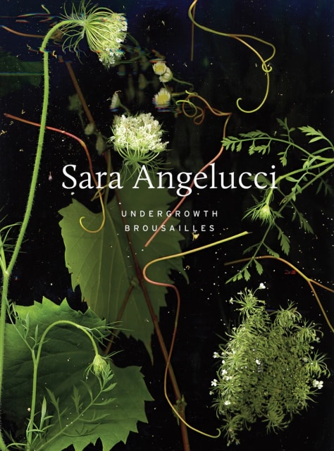 Sara Angelucci | Undergrowth / Brousailles, $60.00 + HST & Shipping