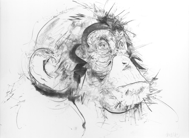 Chimp III (Right Facing), 2017