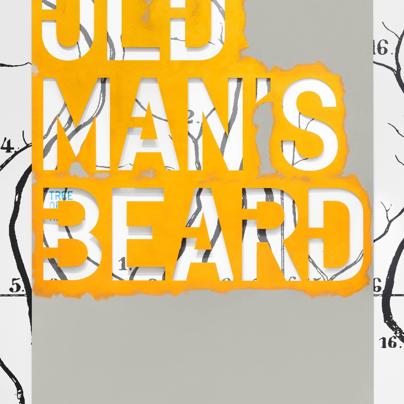 Rirkrit Tiravanija Untitled 2023 invasives old Man s Beard 2023 rirkrit-tiravanija-untitled-2023-invasives-old-man-s-beard-2023