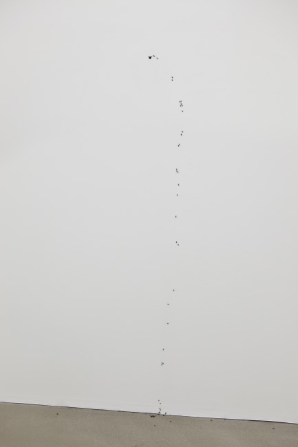 Ph 049 3