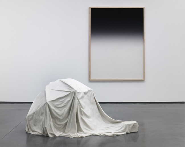 Aam2015 Ryan Gander Install 3