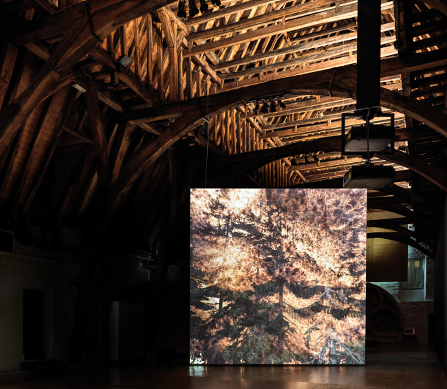 Wildfire Installed Sint Janshospitaal Brugge 2020 Collection Musea Brugge Photo Dominique Provost 13