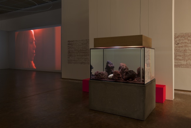 Pierre Huyghe | Esther Schipper
