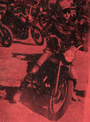 Brandon Bike (Priscilla Pink)
