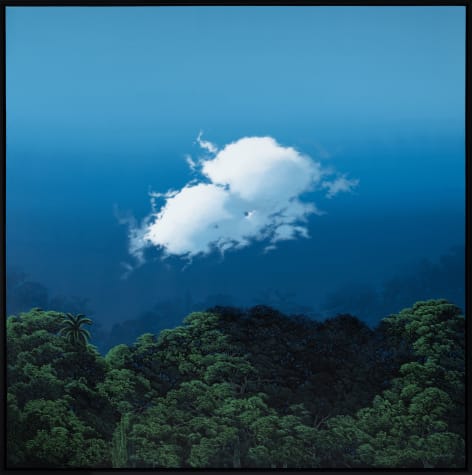 The Lost Landscape (Series)