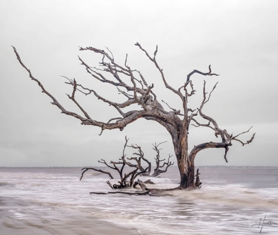 High Tide