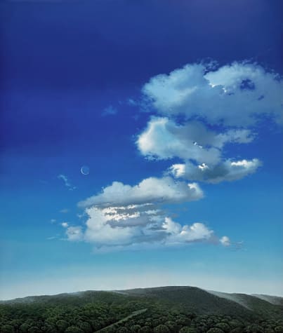 The Lost Landscape (Series II)
