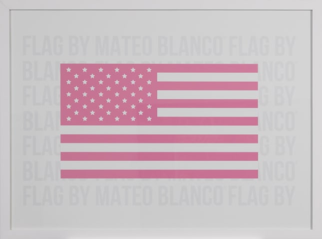 Flag (Pink), 2024