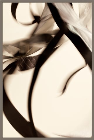 Prancin 1, 2012