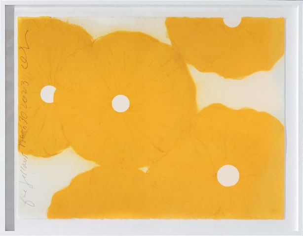 Five Yellows, 2023