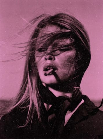 Bardot Supreme (Riviera Rose), 2023