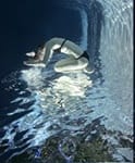 Barbara Cole, Rondo Lenticular, 2007 - 2008