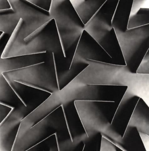 Birds in Mind, 2007